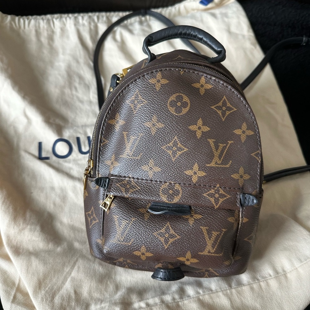 Louis Vuitton Palm Springs Mini Backpack Monogram Brown Leather Crossbody Bag
